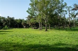 2115 Cr 78 Rd N, Labelle, FL 33935 - photo 2