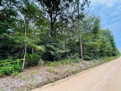 Tract 5 Harold Tyson Rd, Tifton, GA 31794 - photo 4
