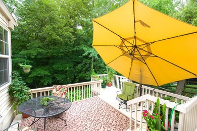 Back Deck