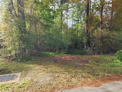 0 Hayes Rd, Slidell, LA 70461 - photo 2