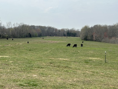 0 Washington Rd unit RTC2634746, Greenbrier, TN 37073 - photo 2