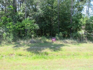 28218 Whispering Maple Way, Spring, TX 77386 - photo 5