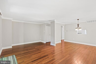 11876 Blue February Way, Columbia, MD 21044 - photo 5