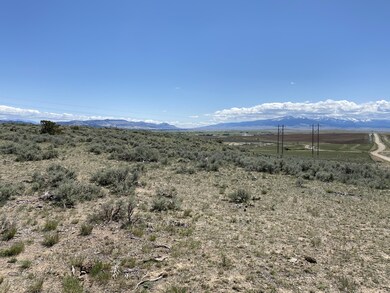 IMG_7967
