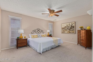 9863 W Spanish Moss Ct, Sun City, AZ 85373 - photo 5