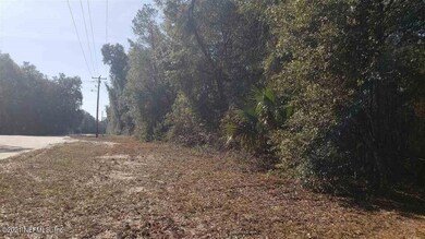 255 Indian Lakes Forest Rd, Florahome, FL 32140 - photo 7