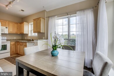 4551 Strutfield Ln unit 4205, Alexandria, VA 22311 - photo 2