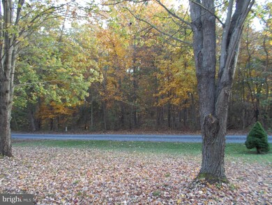 219 Outpost Rd, Luray, VA 22835 - photo 5