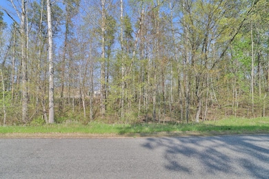 Lot 5, 6 & 7 Terminal Rd, Breezy Point, MN 56472 - photo 2