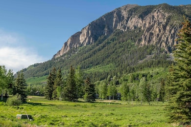 315 Par Ln, Crested Butte, CO 81224 - photo 3