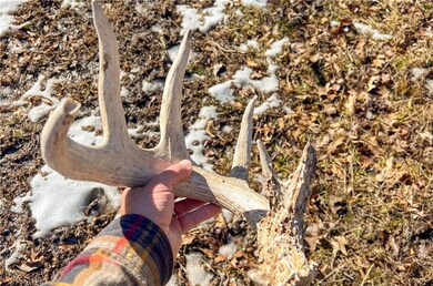 0 C Hwy Hwy unit HMS2572465, Albany, MO 64402 - photo 2