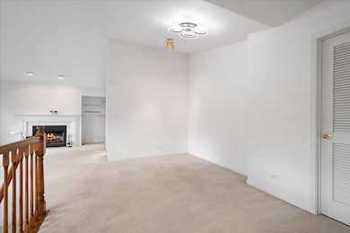 902 Sparta Ct unit 92, Vernon Hills, IL 60061 - photo 7