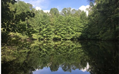 Additional View