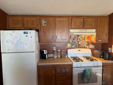 1305 N Silver St, Truth Or Consequences, NM 87901 - photo 7