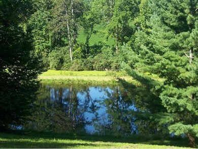 Other Stocked pond or swimming hole