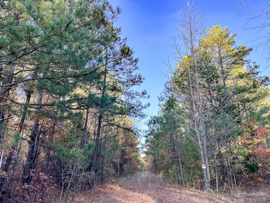 0 Fm 2120 unit 22715325, Bagwell, TX 75412 - photo 7