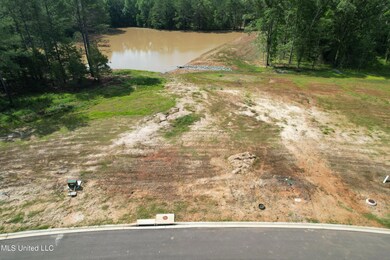 dji_fly_20240523_095058_466_171647639271