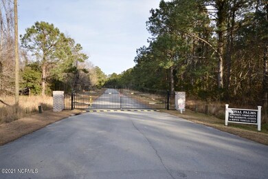 209 Royal Palms Way, Holly Ridge, NC 28445 - photo 3