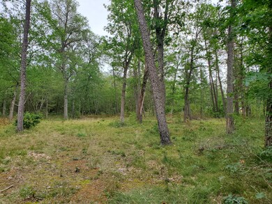 PAR B Peacock Trail, Baldwin, MI 49304 - photo 5