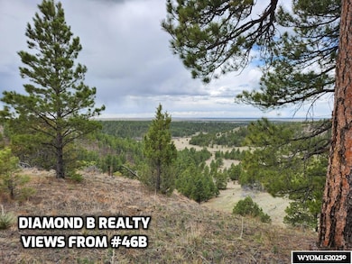 46B Two Pipe Trail, Sundance, WY 82729 - photo 6