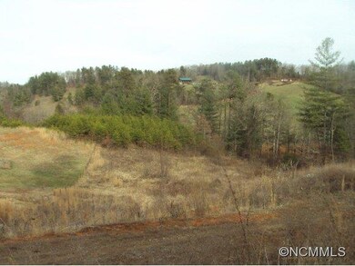 15 Trent Dr, Leicester, NC 28748 - photo 4