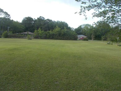 Beautiful Front Yard