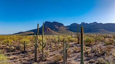DJI_20250517231227_0076_D-HDR