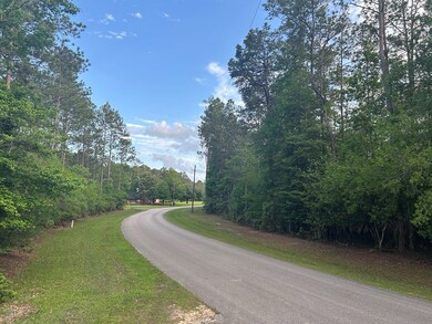 Lot 8 & 9 E Wildwood Dr, Wildwood, TX 77664 - photo 7