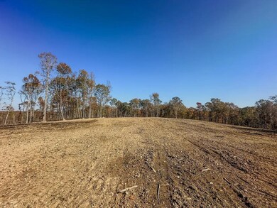 0 Firetower Rd unit 3, Centerville, TN 37033 - photo 3