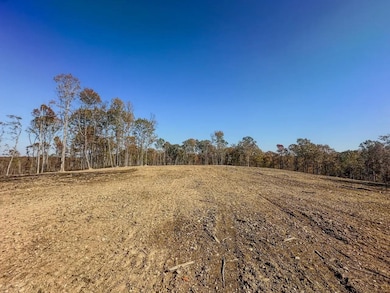 0 Firetower Rd unit 5, Centerville, TN 37033 - photo 3