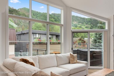 927 E Durant Ave unit 3, Aspen, CO 81611 - photo 4