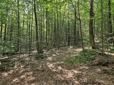 0 Cayward Rd unit R1628568, Prattsburgh, NY 14873 - photo 7