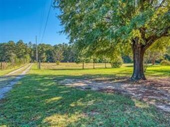 View from House back to Firetower Road