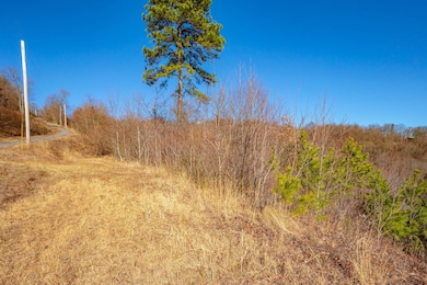 0 Spring Pond Trail, Cana, VA 24317 - photo 6