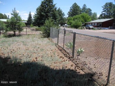 2385 W Sylvester Cir, Show Low, AZ 85901 - photo 5