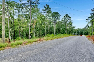 LOT 3 Shoreside at Sipsey, Double Springs, AL 35553 - photo 7