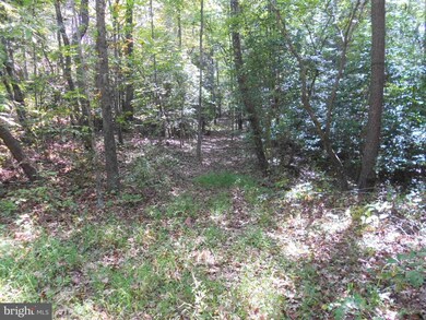 0 Dawsonville Ln unit 1000999511, Ruckersville, VA 22968 - photo 4