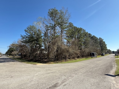 00 Dillon Dr, Magnolia, TX 77354 - photo 4