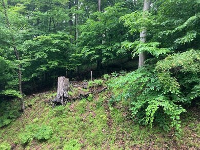 2057 Yana Ln, Hide A Way Hills, OH 43107 - photo 6