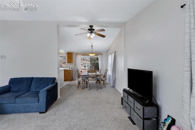 7659 Marmot Point, Colorado Springs, CO 80922 - photo 7