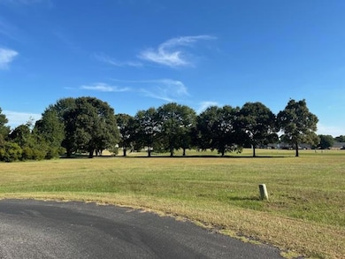 10 N Lake Cir, Manning, SC 29102 - photo 3