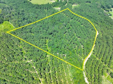 0 Slim Palmer Rd unit 93549026, Zavalla, TX 75949 - photo 4