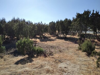 Flat useable lot well treed