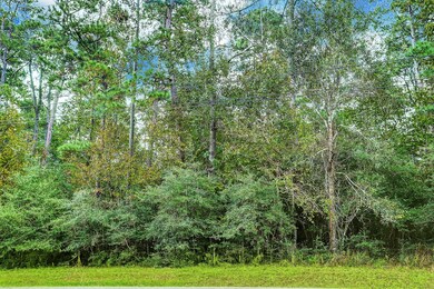 85 Lake Forest Cir, Conroe, TX 77384 - photo 3