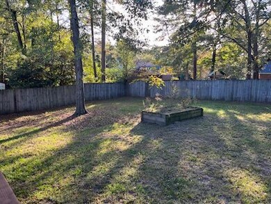 Backyard 2