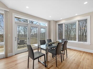 36 Sky View Cir, Newton Center, MA 02459 - photo 7