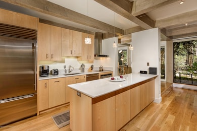 1034 E Cooper Ave unit 24A, Aspen, CO 81611 - photo 6