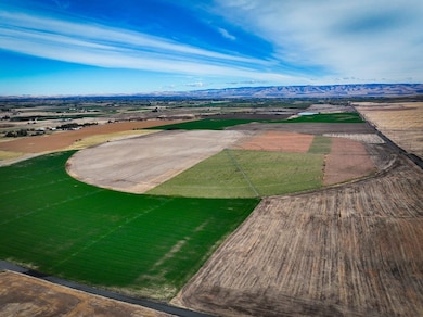 50671 Schubert Rd, Milton Freewater, OR 97862 - photo 3