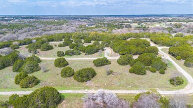 11068 Juniper Dr, Whitney, TX 76692 - photo 4