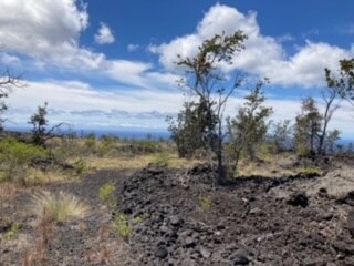 0 Road To the Sea, Ocean View, HI 96704 - photo 6